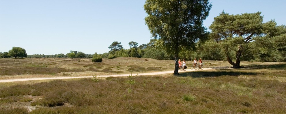 Omgeving De Ullingse Bergen - 6.jpg