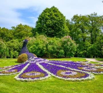 KasteeltuinenArcen_lente (21).jpg