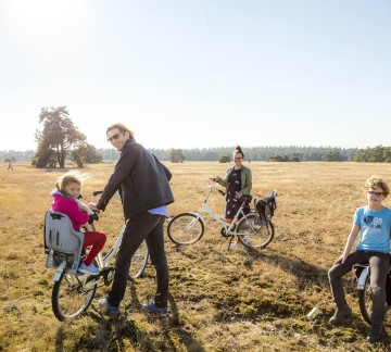 Nationaalpark De Hoge Veluwe _JDP9161016-0819-RUB.jpg