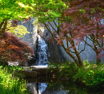 KasteeltuinenArcen_lente (5).jpg