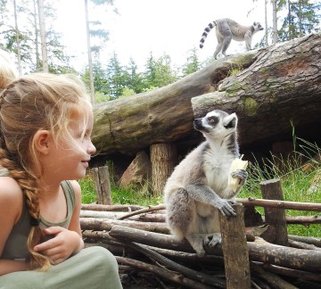 Apeneiland DierenPark Amersfoort_bewerkt.jpg