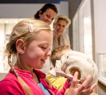 Neanderthaler tot stedeling - skelet.jpg