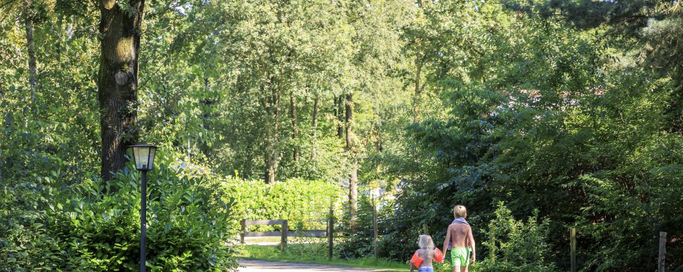 RUB9230810-1847bb.jpg RUB9230810-1847bb.jpg