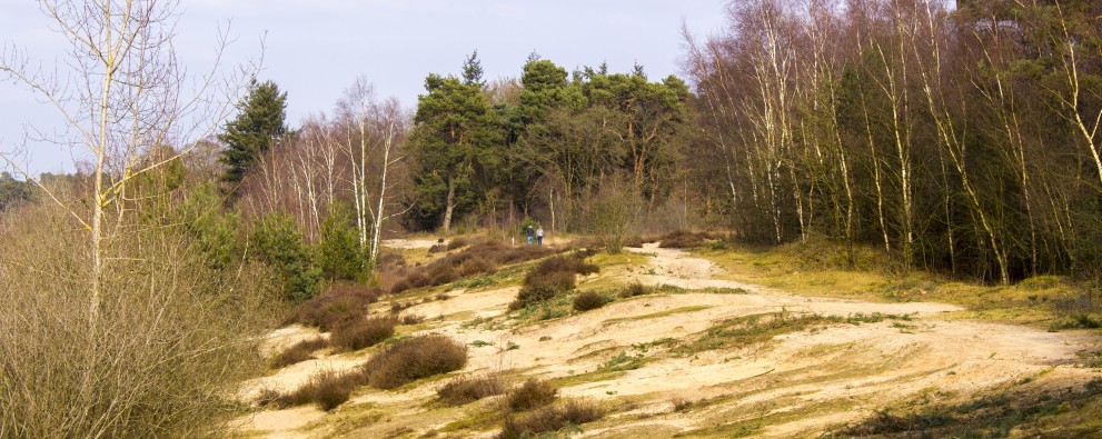 Maasduinen deposit
