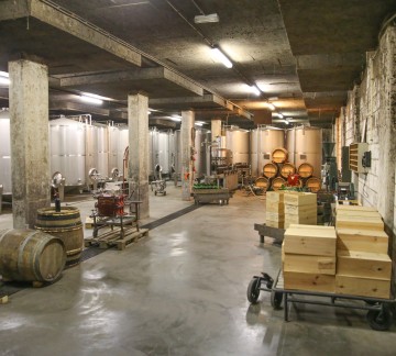 Nederlands Wijnmuseum